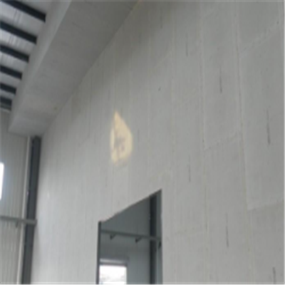偃师宁波ALC板|EPS加气板隔墙与混凝土整浇联接的实验研讨